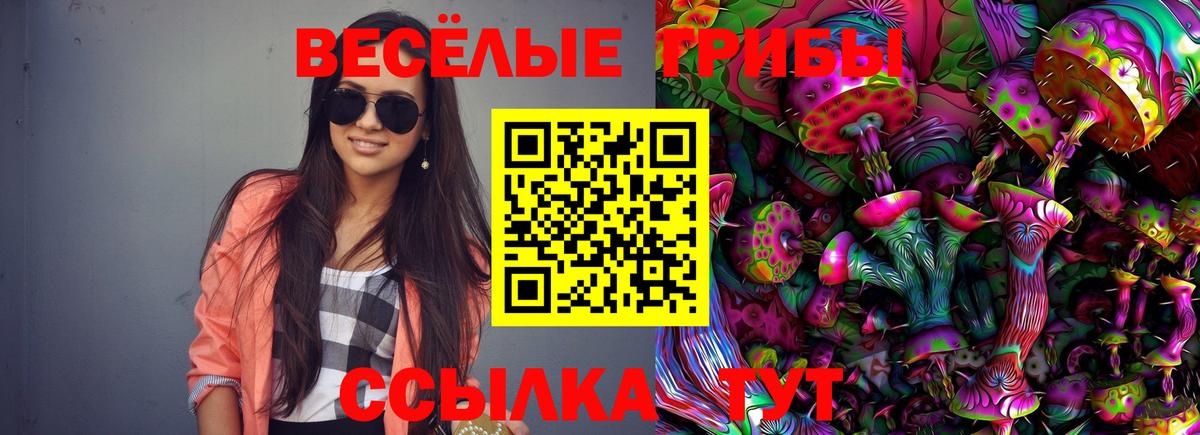 Галлюциногенные грибы Magic Shrooms Владивосток